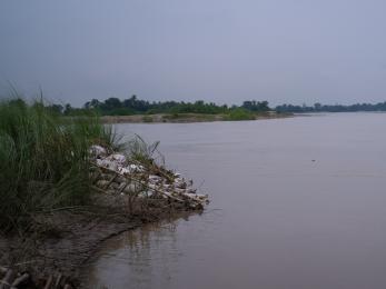 Bamboo bioengineering on riverbank in nepal.