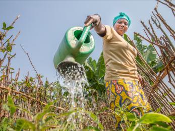 Woman in drc watering crops with a watering can.