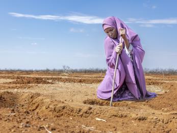 Kenyan woman works to restore rangeland.