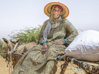 Senegalese woman sits on donkey-drawn cart, smiling.