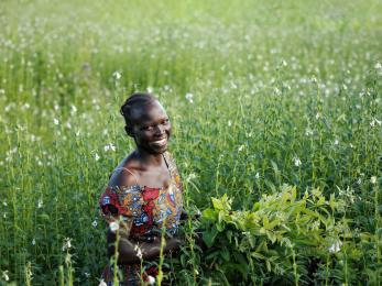 Ugandan woman stands in field of sesame.
