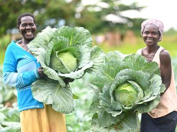 Two ugandan women smiling in agricultural setting, displaying large cabbage.